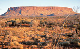 Mt Connor, Northern Territory, Australia